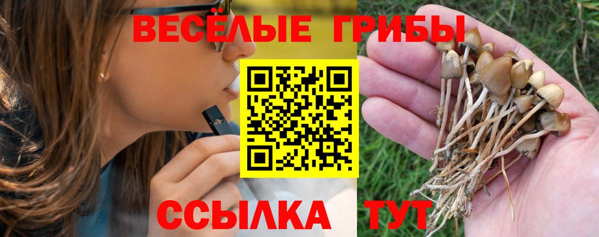 Галлюциногенные грибы Cubensis  Вход с VPN  Гагарин 