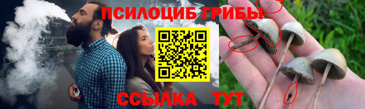 Галлюциногенные грибы Cubensis Гагарин